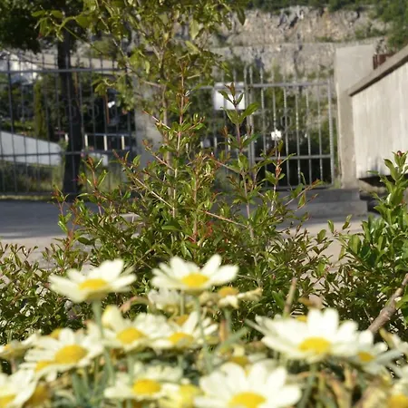 Lilly Appartamento *