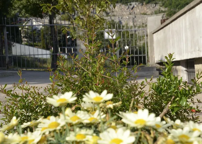 Lilly Appartamento *